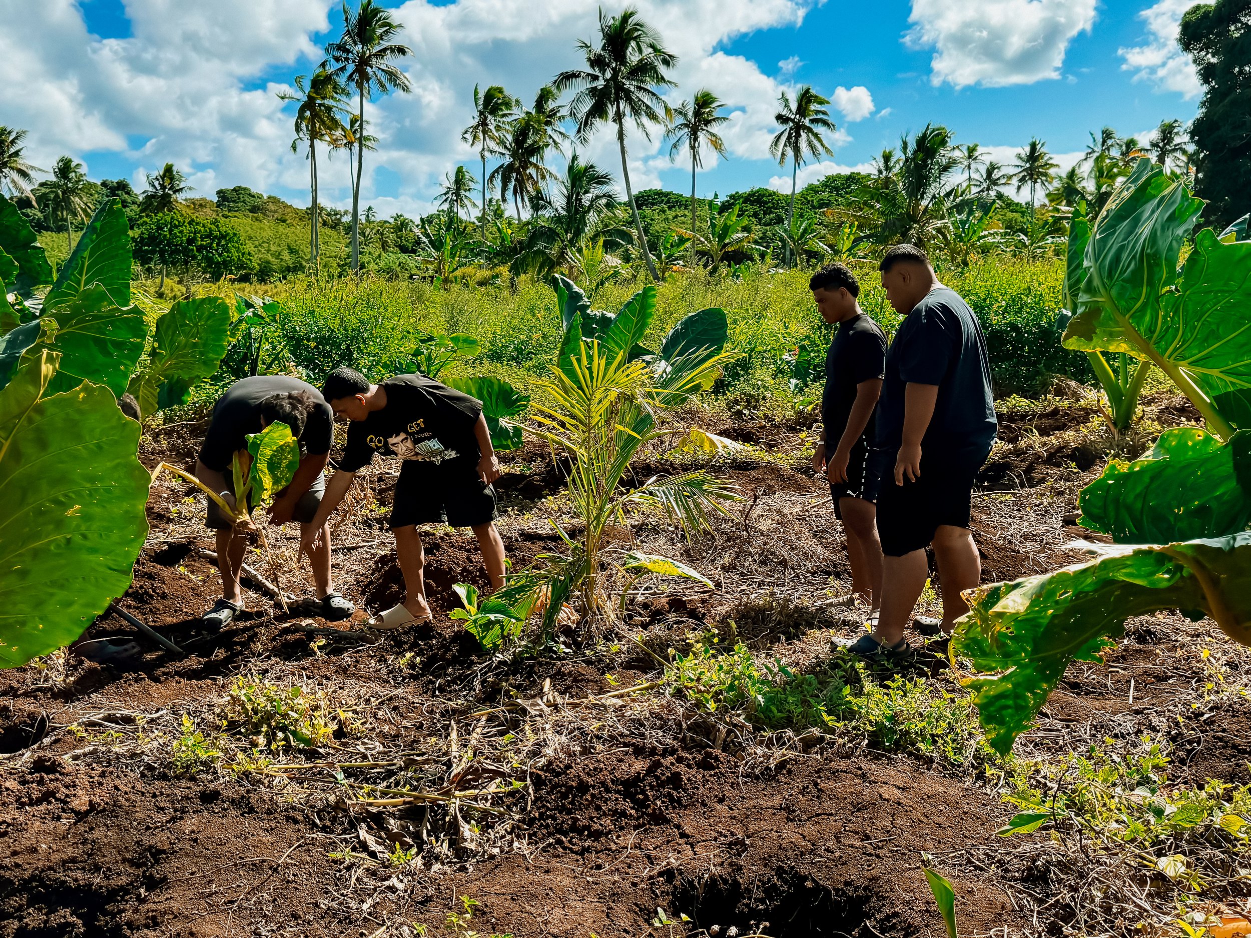 Our mission in action